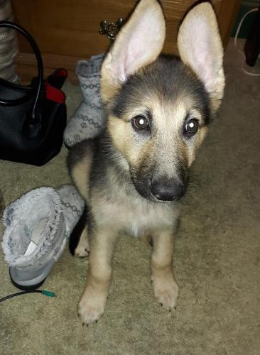 23:49:33 GMT-0500 (EST)