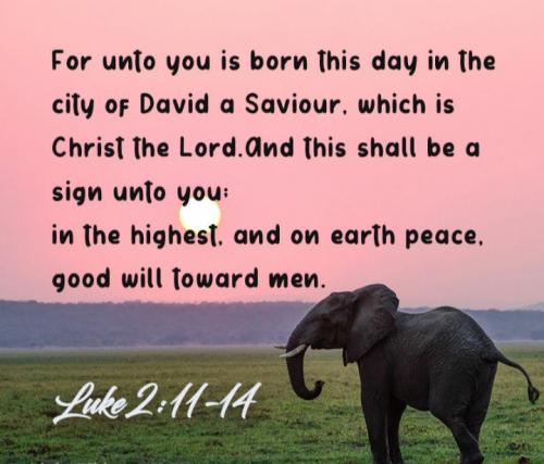 20:28:43 GMT-0500 (EST)