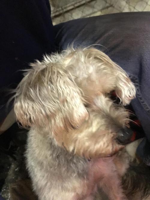 06:47:27 GMT-0600 (CST).image