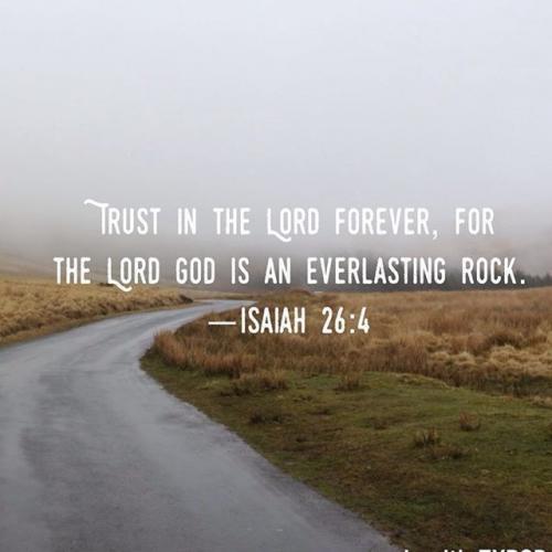 2018-09-02 23.05.05 1859984942478655085_5403409862