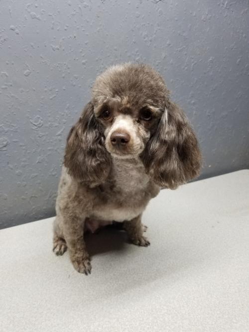 00:00:34 GMT-0600 (CST)