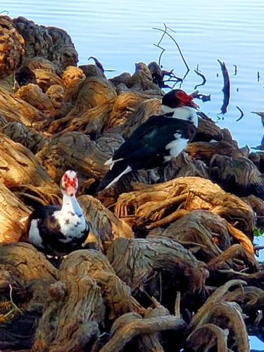 15:26:21 GMT-0800 (PST)