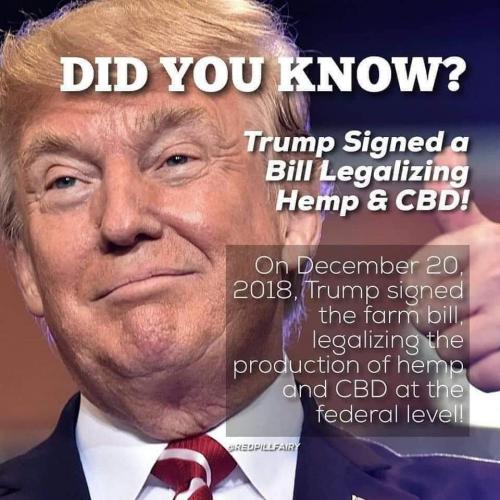 Legalizing HEMP & CBD