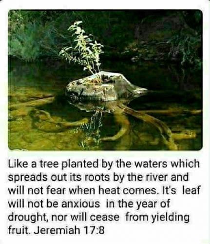 13:33:50 GMT-0800 (PST)