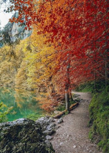 tumblr_paf21b1UM31szm930o2_r1_540