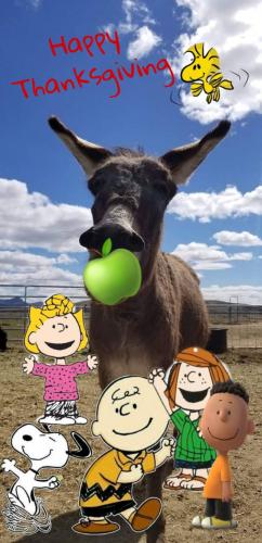 10:29:04 GMT-0800 (PST).image