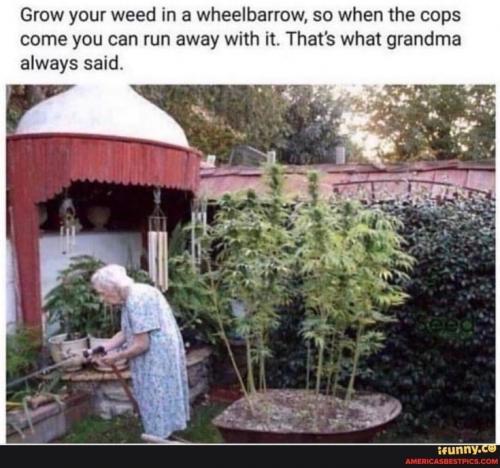 20:17:23 GMT-0600 (CST).image