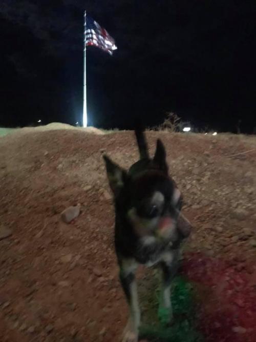 21:47:31 GMT-0500 (EST).image