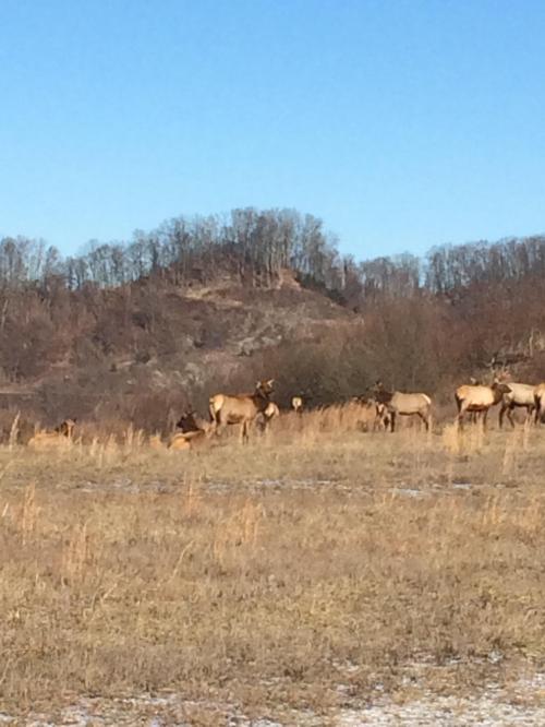 09:36:12 GMT-0500 (EST).image