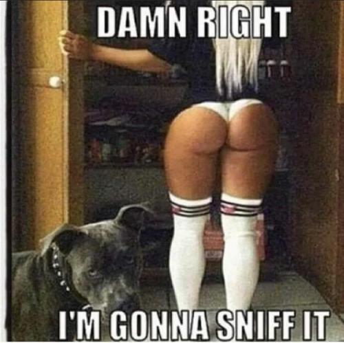 22:59:29 GMT-0500 (EST).image