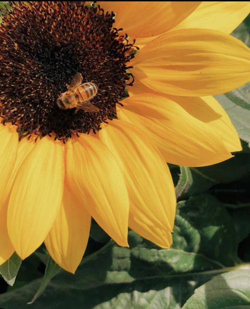 22:22:33 GMT-0500 (EST).image