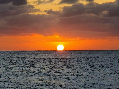 119283955_3521187137926389_7780371182759681204_o