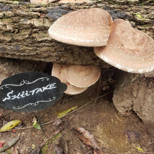 22:49:22 GMT-0600 (CST)