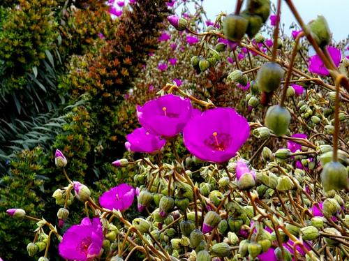 15:54:41 GMT-0800 (PST)