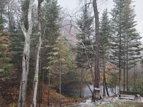 19:05:24 GMT-0600 (CST)