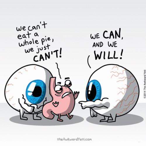 inbound6928173101225868484