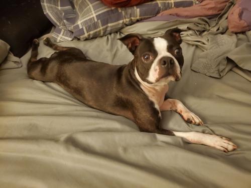 18:04:38 GMT-0500 (EST)