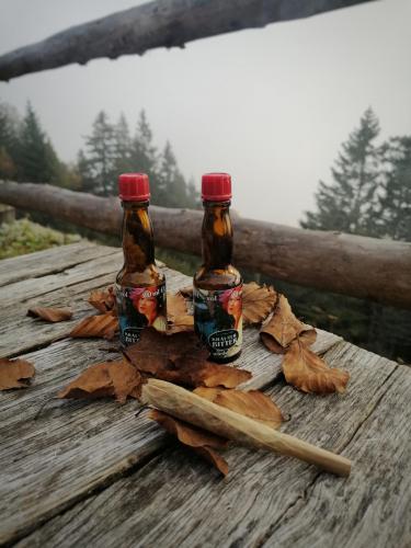 09:22:30 GMT+0100 (CET)