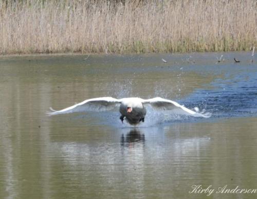 21:30:18 GMT-0600 (CST)