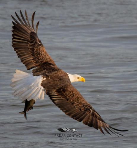 126897934_1281241568898143_2867372045542159672_o