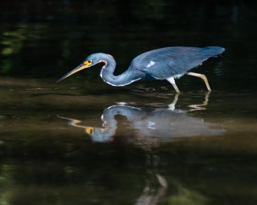 2AD7707F-5AB3-4653-A805-01BFA49B4A80