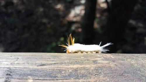 09:51:03 GMT-0600 (CST)