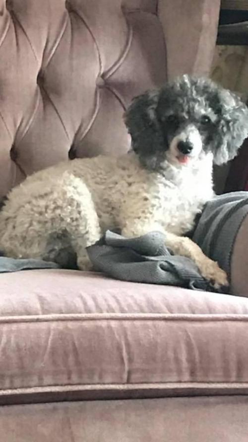 15:57:56 GMT-0600 (CST).image