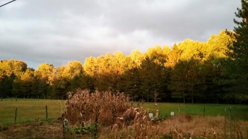 15:35:25 GMT-0500 (EST)