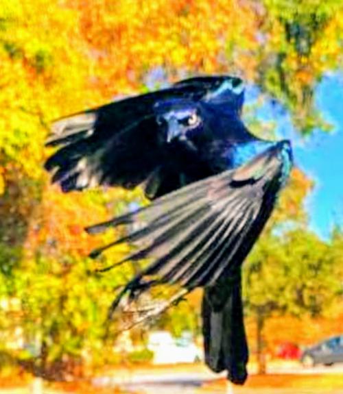 22:30:40 GMT-0500 (EST).png