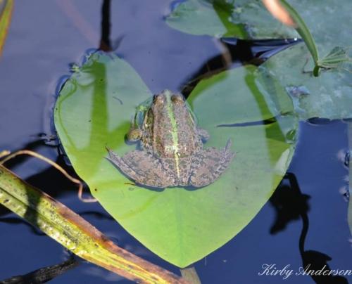 21:30:18 GMT-0600 (CST)