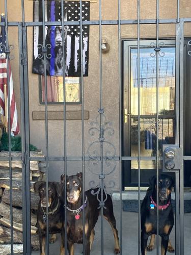 6193551C-2B8B-4C8B-86D2-83E81BE09200-8339-00000489AF020C83