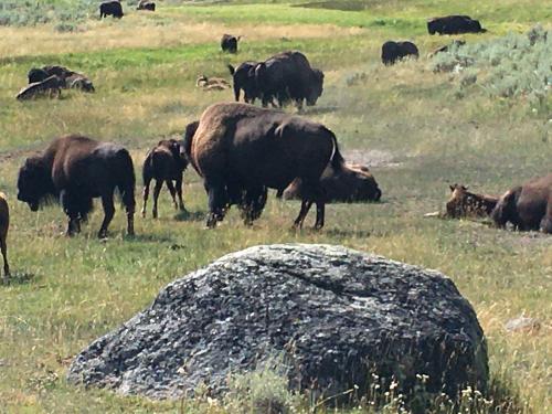 09:07:04 GMT-0800 (PST).image