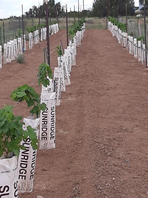 21:13:35 GMT-0700 (MST)