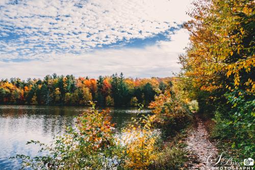 15:16:28 GMT-0500 (EST)