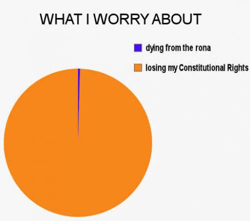constitutional rights00
