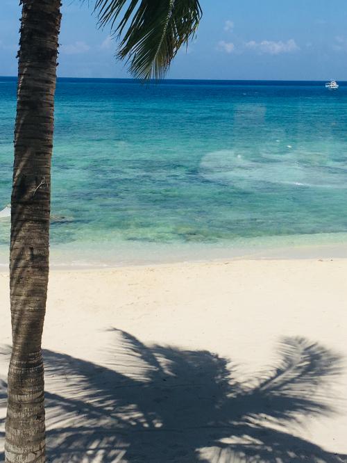 23:03:57 GMT-0600 (CST).image