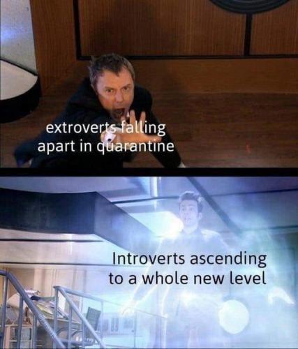 extroverts_n