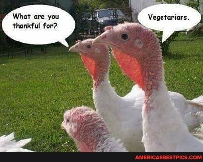 21:51:58 GMT-0600 (CST).image