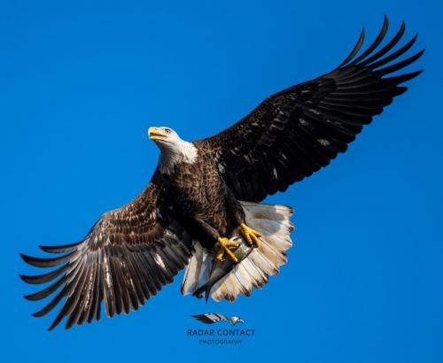 127020257_1281529098869390_7992970496727726973_o