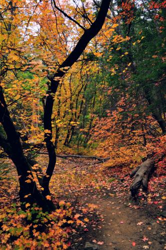 tumblr_fe6f7e8cf817d4c948c885046a8c69d0_0877cf58_640