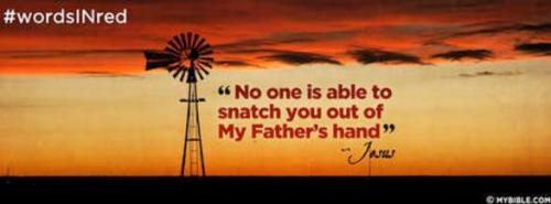 14702370_140517493078224_2981832095620713844_n