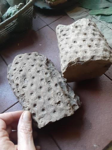 13:14:41 GMT-0600 (CST)