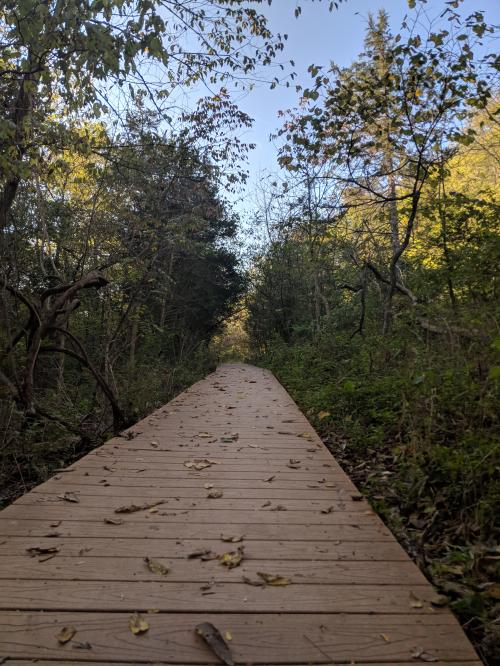 22:12:23 GMT-0600 (CST)