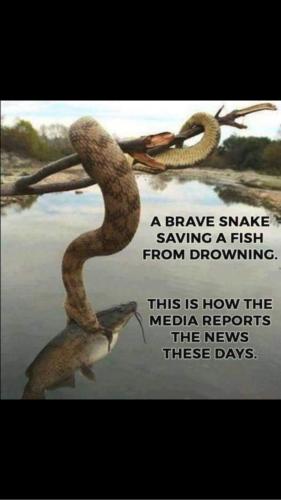 20:11:02 GMT-0600 (CST)