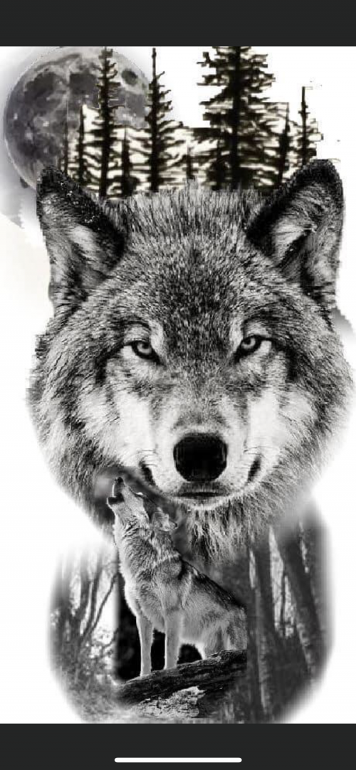 08:42:07 GMT-0600 (CST).image