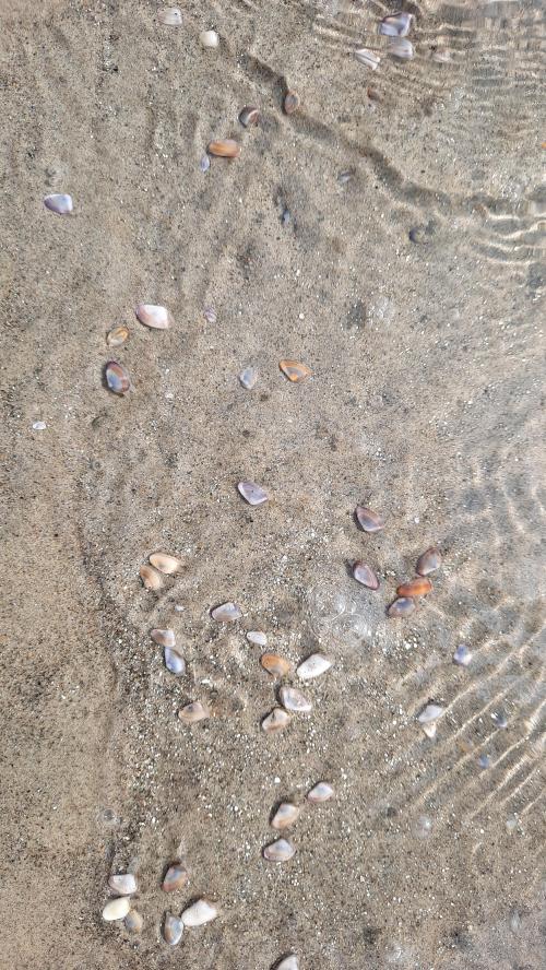 11:02:50 GMT-0800 (PST)