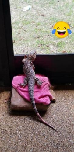 06:05:43 GMT-0500 (EST)