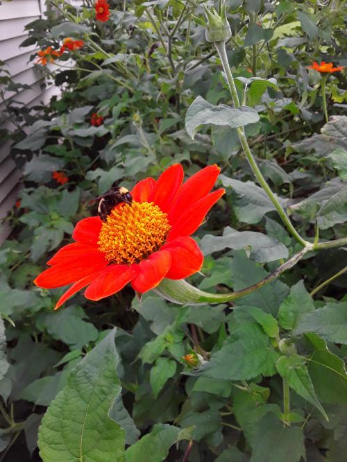 14:44:26 GMT-0600 (CST)