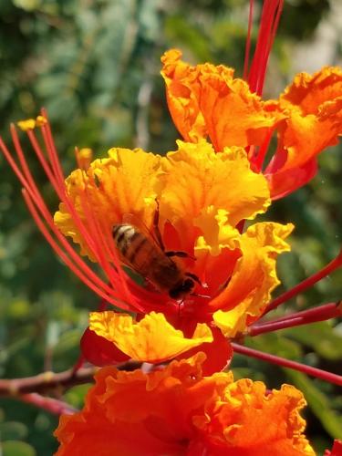 15:33:45 GMT-0800 (PST)