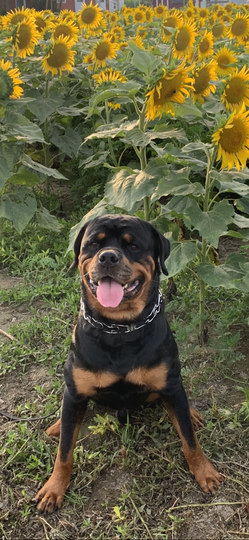 16:51:54 GMT-0500 (EST).image